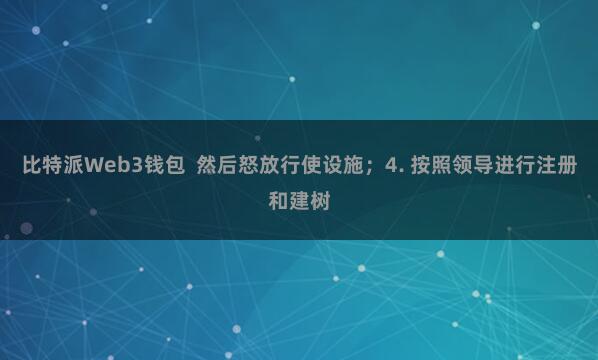 比特派Web3钱包 然后怒放行使设施;4. 按照领导进行注册和建树
