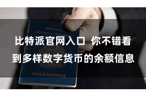 比特派官网入口  你不错看到多样数字货币的余额信息