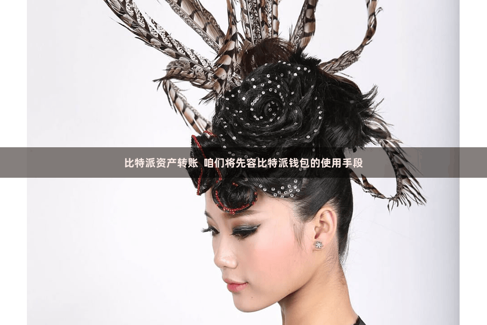 比特派资产转账  咱们将先容比特派钱包的使用手段