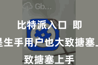 比特派入口  即使是生手用户也大致搪塞上手