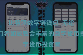 比特派数字链钱包  无论是入门者如故教会丰富的数字货币投资者